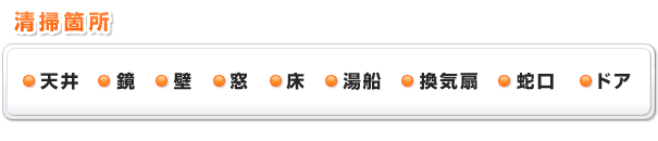 清掃箇所：天井、鏡、壁、窓、床、湯船、換気扇、蛇口、ドア