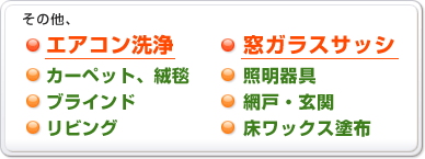 その他、カーペット、絨毯、ブラインド、リビング、照明器具、窓ガラスサッシ、網戸・玄関、エアコン洗浄、床ワックス塗布